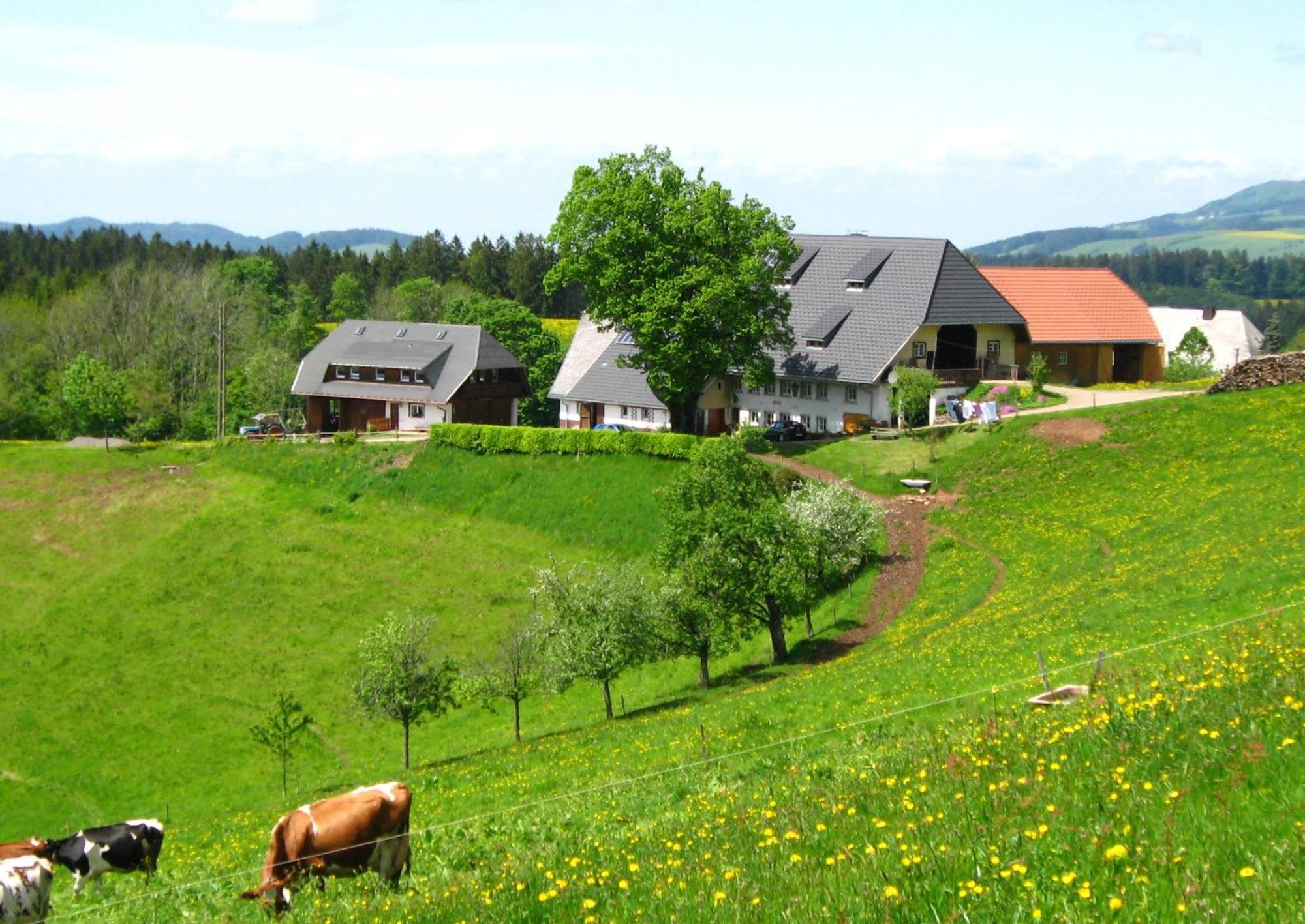 Brosihof Lägenhet Erlenbach  Exteriör bild