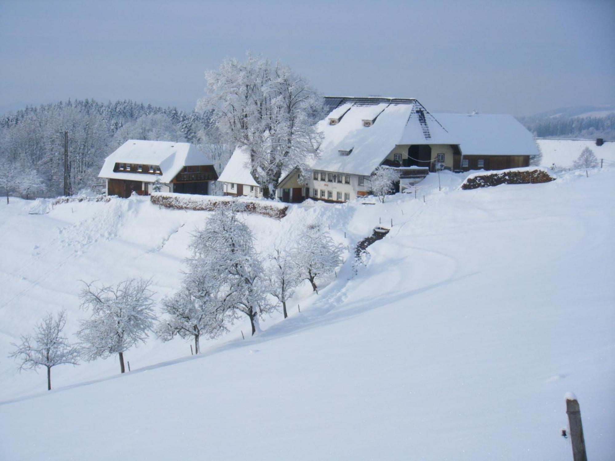 Brosihof Lägenhet Erlenbach  Exteriör bild