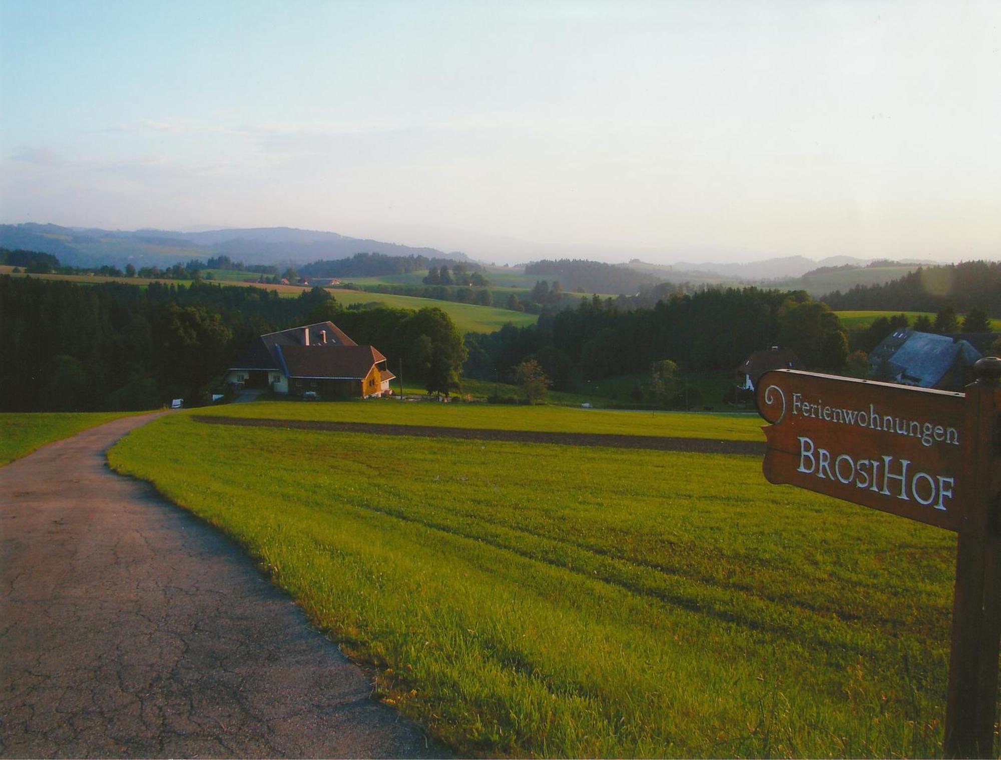 Brosihof Lägenhet Erlenbach  Exteriör bild