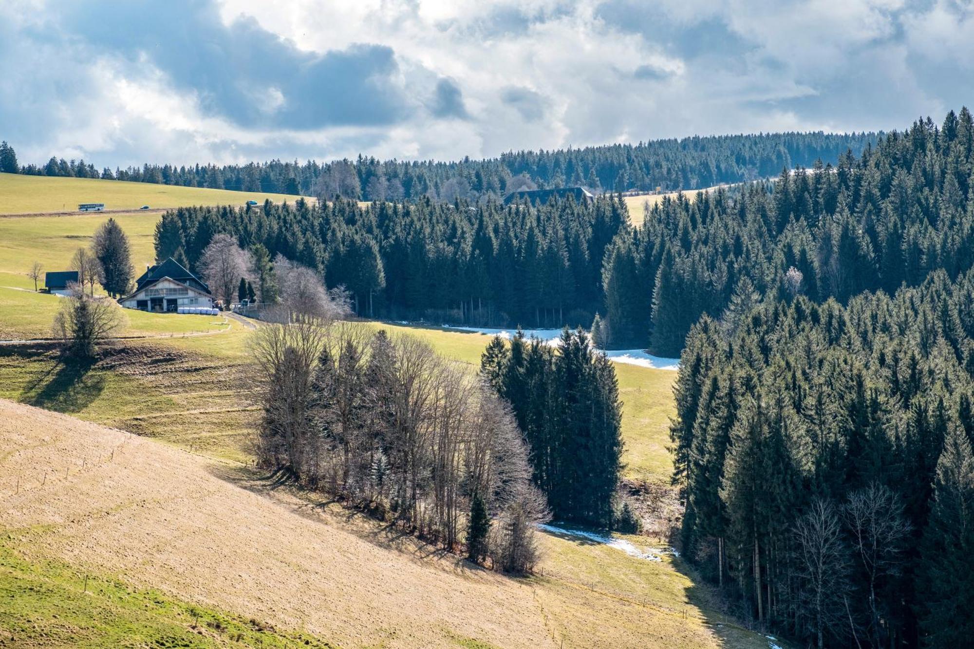 Brosihof Lägenhet Erlenbach  Exteriör bild