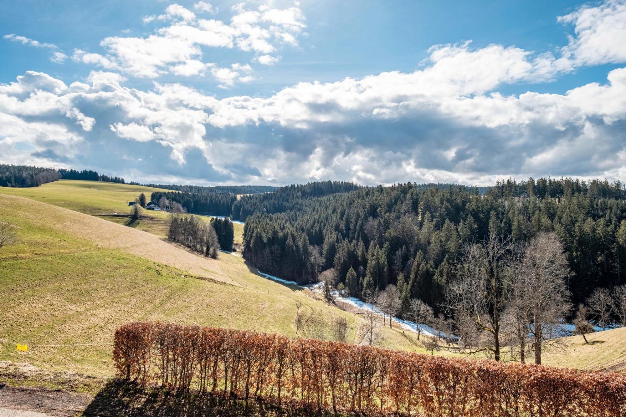 Brosihof Lägenhet Erlenbach  Exteriör bild