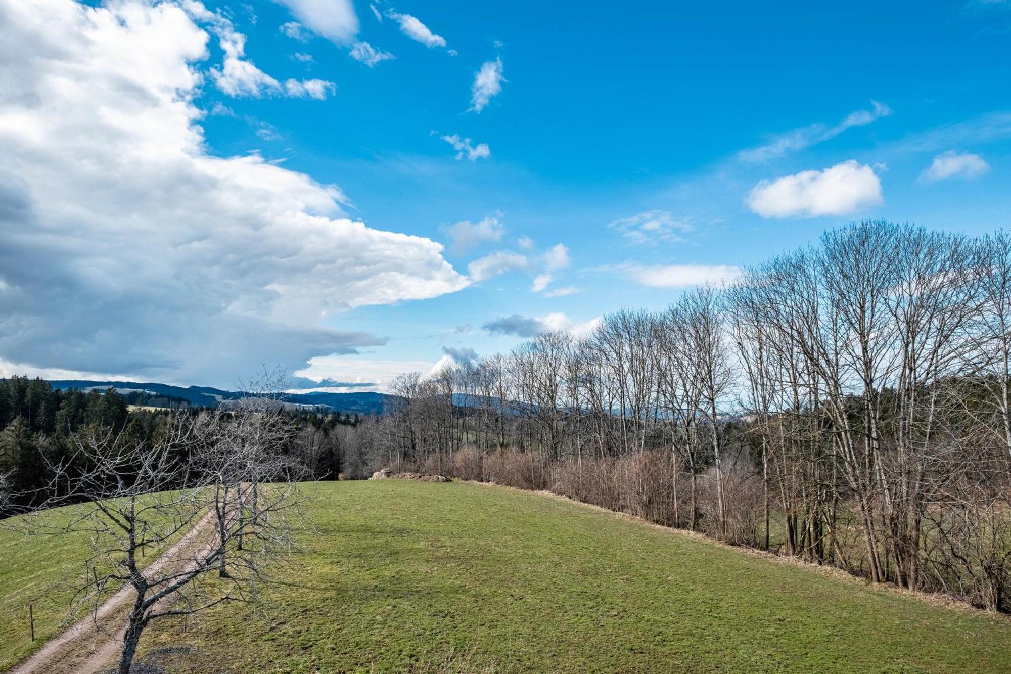Brosihof Lägenhet Erlenbach  Exteriör bild