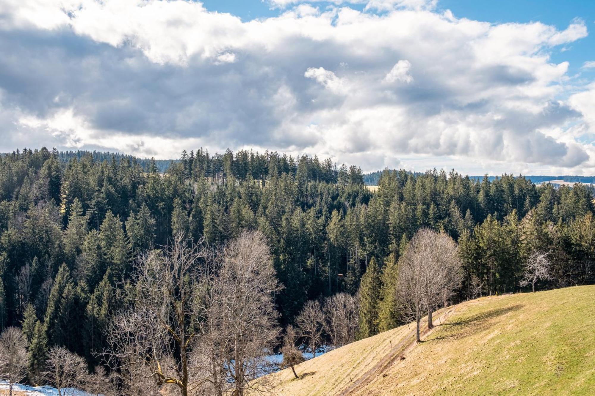 Brosihof Lägenhet Erlenbach  Exteriör bild
