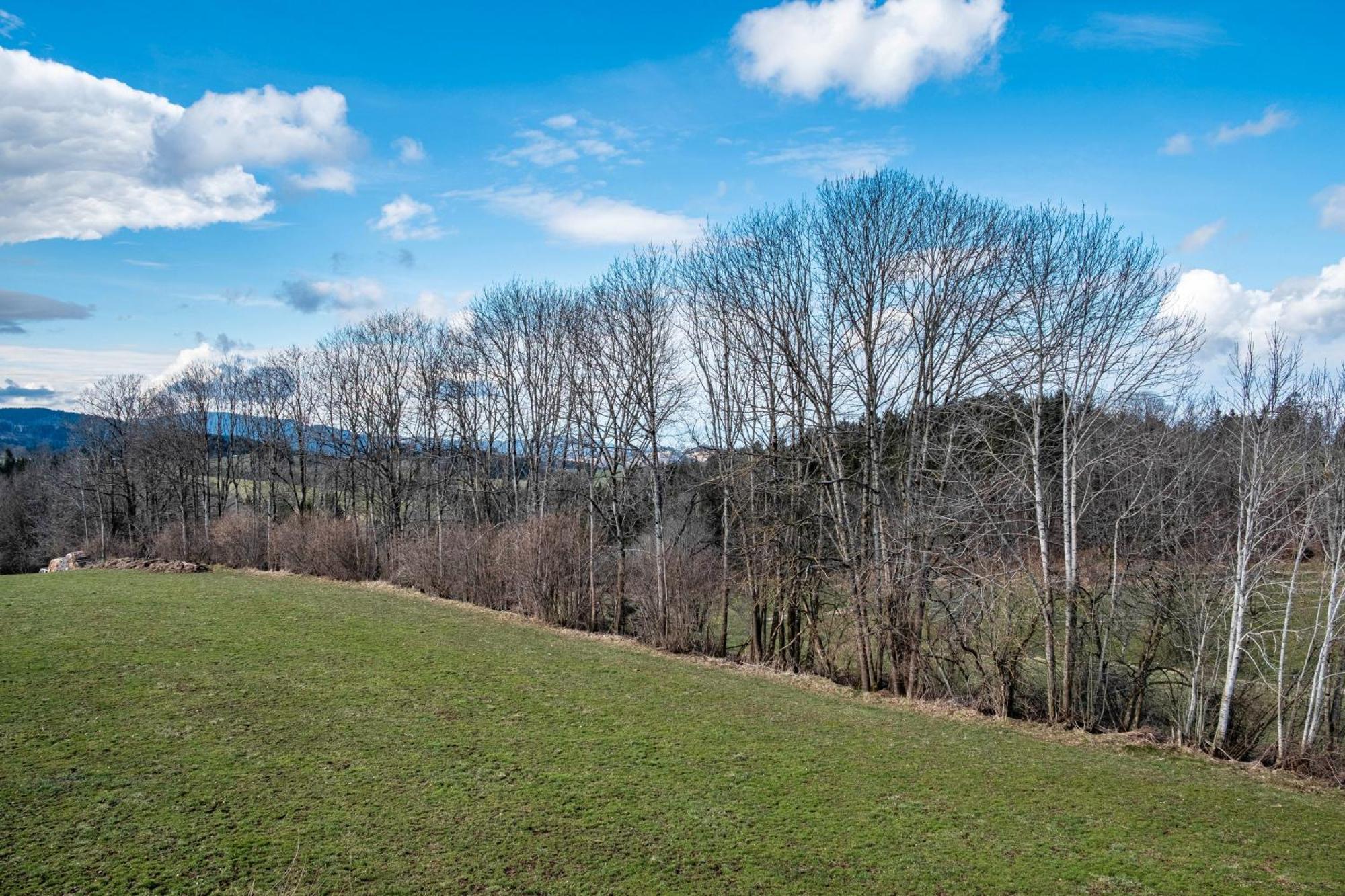 Brosihof Lägenhet Erlenbach  Exteriör bild